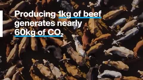 3D Beef - Could it be the reason real beef becomes magnetic?