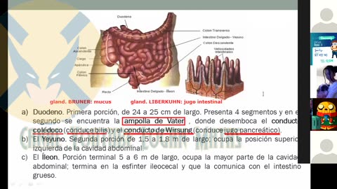 REPASO GRUPO SAN MARCOS 2022 | Semana 01 | Anatomía