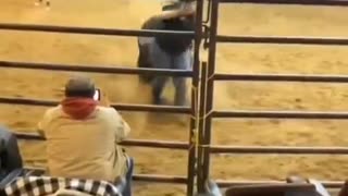 Flying with Bulls