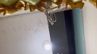 Lost Cat Falls From Ceiling