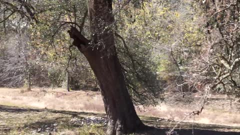 Welcome to Austin Texas ,Shoal Creek