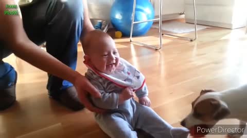 Funny babies laughing histerically at complition