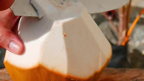 fantastic coconut satisfying video