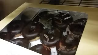 Mouse Invades Box Of Donuts, Runs Away When Caught