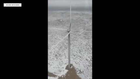 Texas Windmills