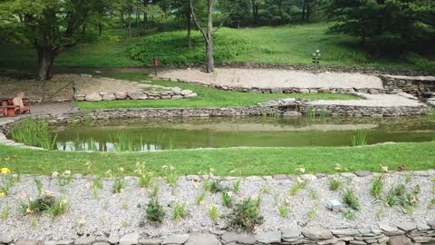 The Ponds at Natural Gardens