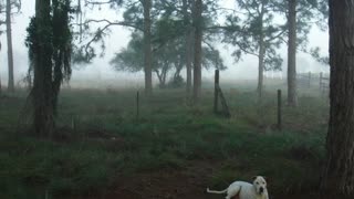 Fog creeping in