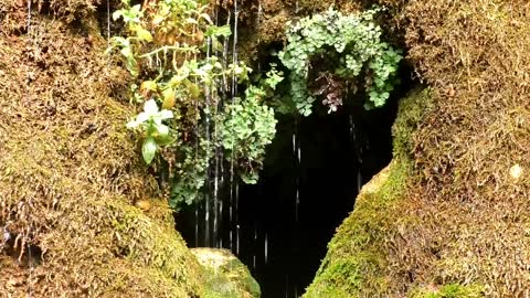 Amazing Footage Of Sacred Waterfall For A Minute Of Relaxation