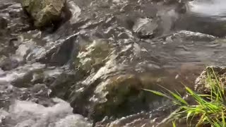 The Serenity Of A Flowing River