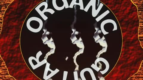 Organic Guitars logo designed by me