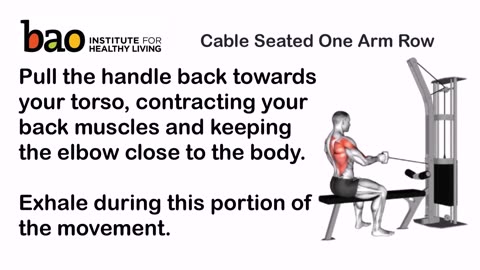 exercise Cable Seated One Arm Row