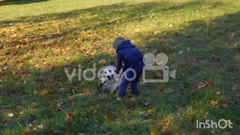 A little boy playing with his dog