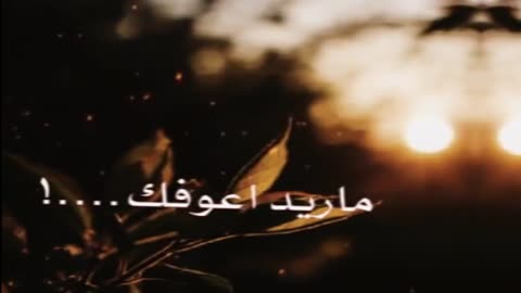 اجمل تصميم فيدوهات علي اغاني عراقي
