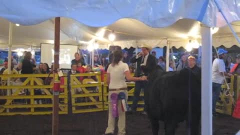 Youth Livestock Auction