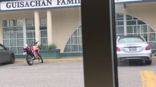 Bear Cub Wanders Past Shops