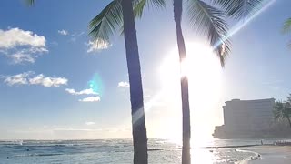 Sunshine Waikiki