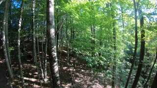 Buck Almost Gets In My Stand! (Public Land Hunting In Early Bow Season!)