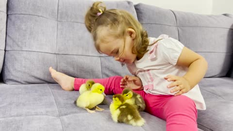Cute_Baby_Meets_Newborn_Ducklings_For_The_First_Time