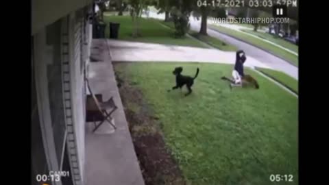 Dude Beat The Brakes Off A Stray Dog That Tried To Attack His Poodle!