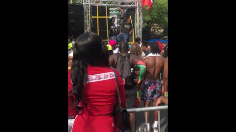 West Indian American Carnival Jump Up Preview 2