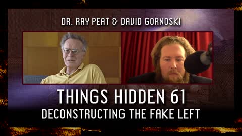 Dr. Ray Peat on the Curious Case of Noam Chomsky