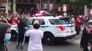 NYPD pile-driving through left-wing trash 2