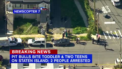 2 teens, toddler attacked by pit bulls on Staten Island