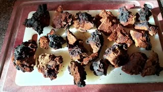 #Shorts Chaga Tea Preparation (part 1)