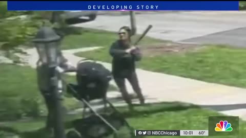 HCNN - Bat-Wielding Woman Attacks at Least 9 in Chicago