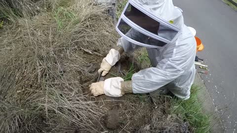 A Professional Excavates A Nest Of Wasps And All We Can Say Is 'Nope'