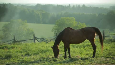 A picturesque picture of the nature of the Czech Republic