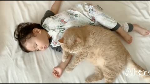 Loving Family Cat Always There For His Little Human Sister_1080p