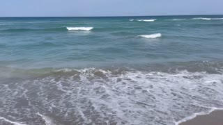 Bathtub Reef Beach Stuart Florida loaded with 500 types of marine creatures including sea turtles.