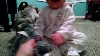 Playful puppy makes adorable baby giggle