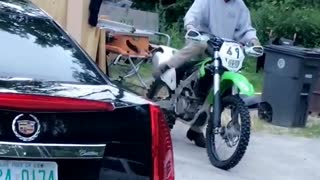 Dog Hops Onto Motorcycle for Ride