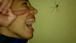 Guy opening his mouth next to spider and screams