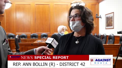 Ann Bollin Michigan Representative (R) District 42