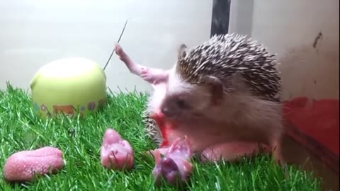 Cute animal giving birth