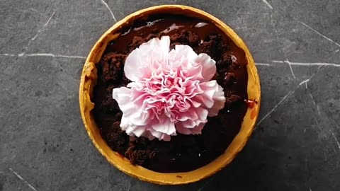 Unlocking Edible Art: How to Make Chocolate Plant Pot
