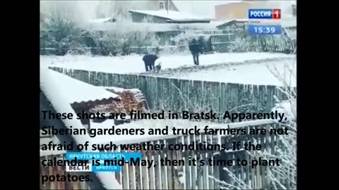 Siberian farmers plant potatoes in the snow /humor Russia/