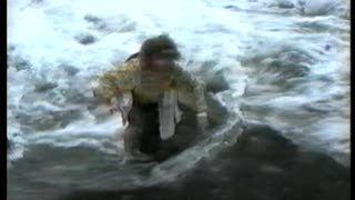 Huge Wave Takes Out Woman On Rocky Beach