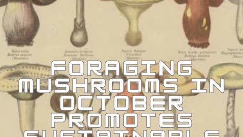 Exploring Edible Mushroom Varieties: A Visual Guide 🍄📊#