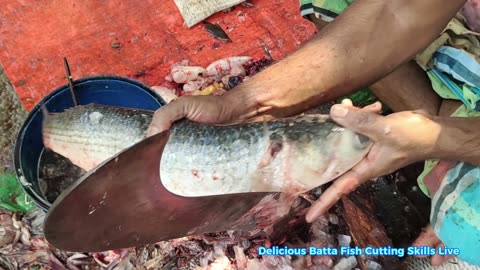 Oceant Batta Fish Fast Cutting Skills Live In Fish MarketJune 16, 2024