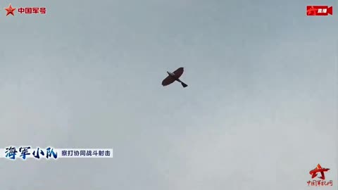 China has developed a bird-shaped drone, further pushing the boundaries of military technology