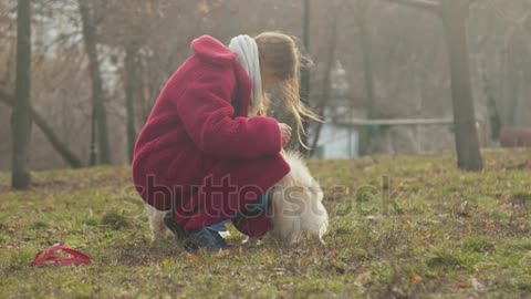 Animais lindos e inteligentes