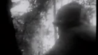 Adam Curtis - Trumpets and Typewriters: A History of War Reporting (1983)