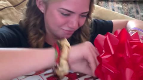 Girl Hears Barking From Christmas Gift