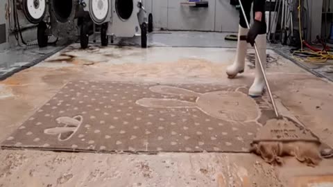 Storm Damaged Rug! So Much Mud-oddly satisfying rug cleaning