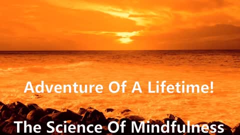 Science Of Mindfulness - By Jon Kabat-Zinn