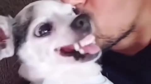 Dog hates kiss